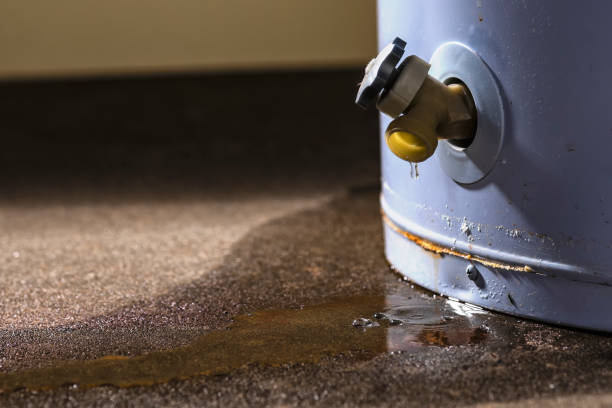 Best Local water damage restoration  in Glassmanor, MD
