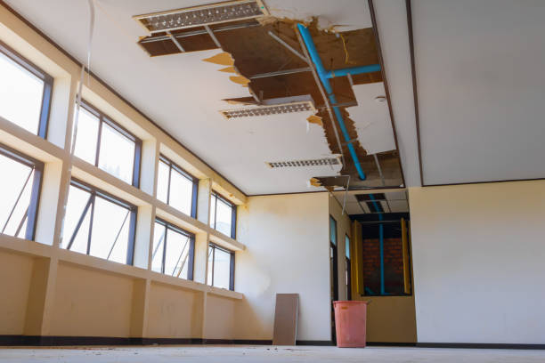 Carpet water damage restoration in Glassmanor, MD