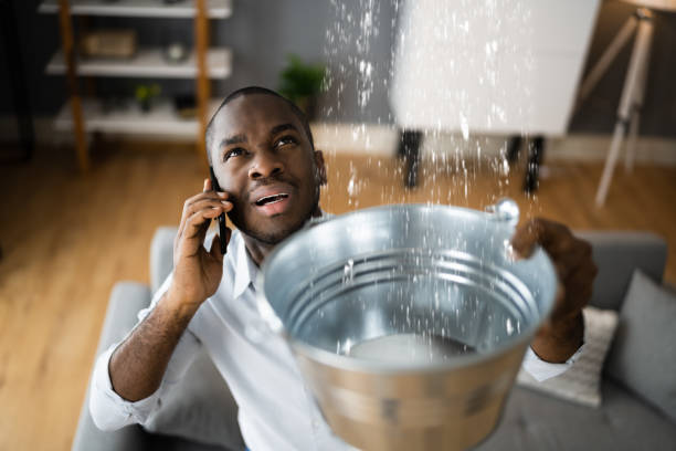 Best Water damage cleanup near me  in Glassmanor, MD