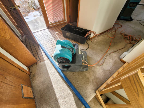 Trusted Glassmanor, MD Water damage restoration Experts