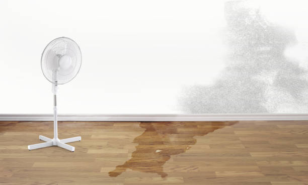 Best Emergency water damage restoration  in Glassmanor, MD