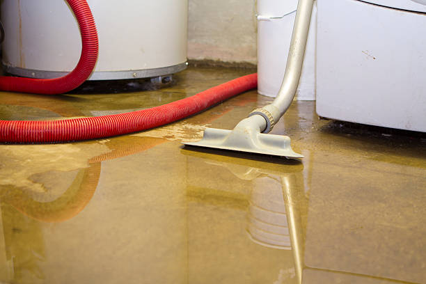 Best Water damage restoration experts  in Glassmanor, MD