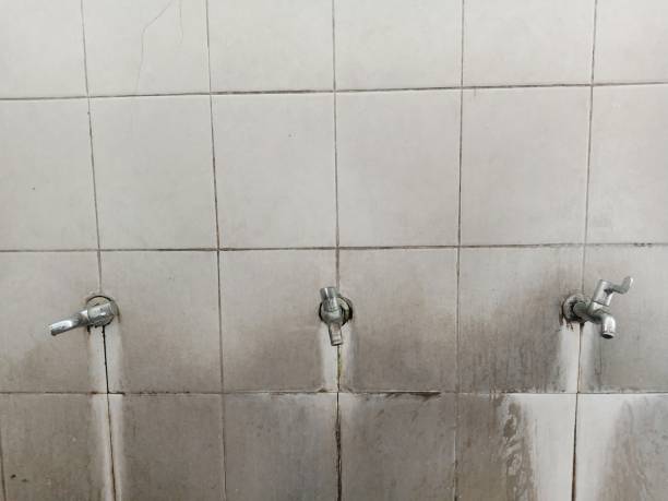 Best 24/7 water damage repair  in Glassmanor, MD