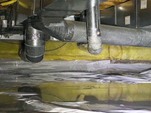  Glassmanor, MD Water damage restoration Pros