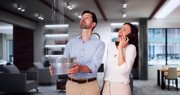 Best Water damage restoration services  in Glassmanor, MD